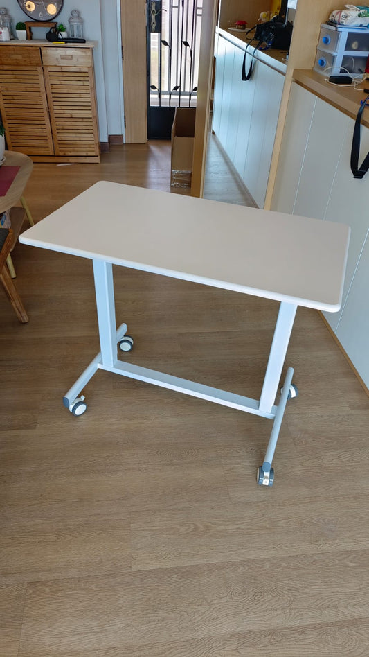 Ergonomic Pneumatic Height Adjustable Table